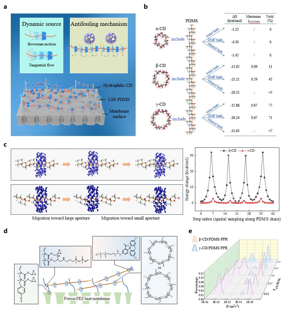 超分子结构与动态性模拟、表征 超分子结构与动态性模拟、表征
